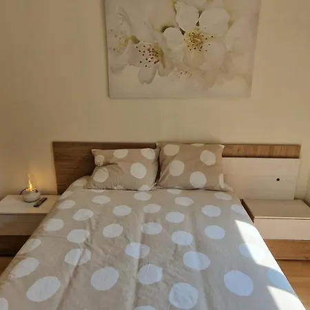 Jardines De La Catedral - Vut-4276-as Y Vut-4278-as اوفيدو